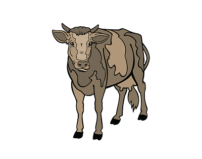 Jersey Cattle Cow’s Calf Vector 3d animal vector design graphic design illustration illustrator file illustrator png vector art vector file