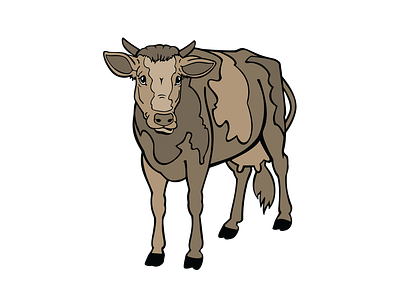 Jersey Cattle Cow’s Calf Vector