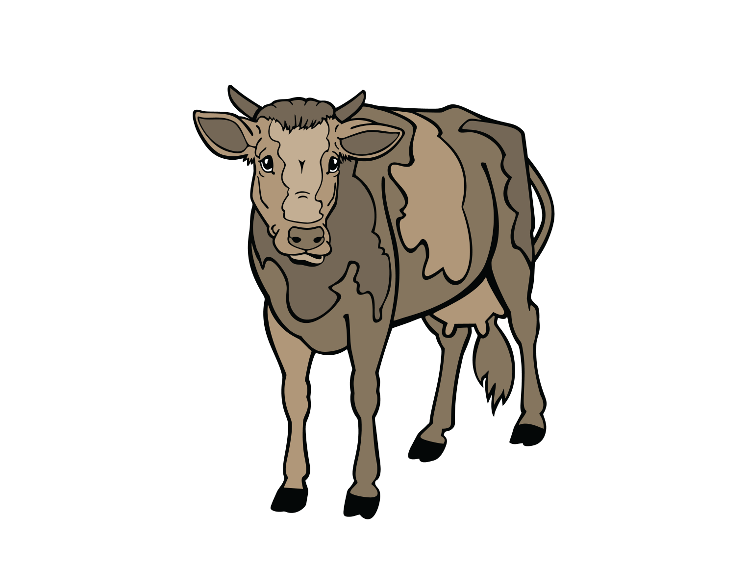 Jersey Cattle Cow’s Calf Vector by DigitEMB on Dribbble