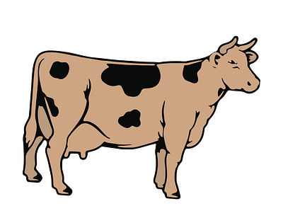 Dairy Ayrshire Milk Cow Vector 3d animal vector graphic design illustration illustrator file illustrator png vector art vector file