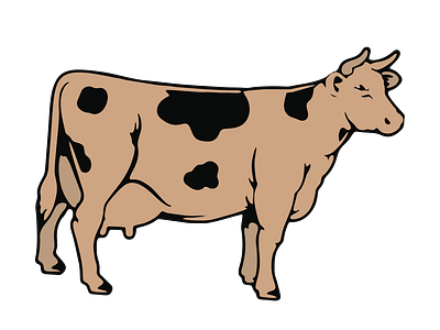 Dairy Ayrshire Milk Cow Vector