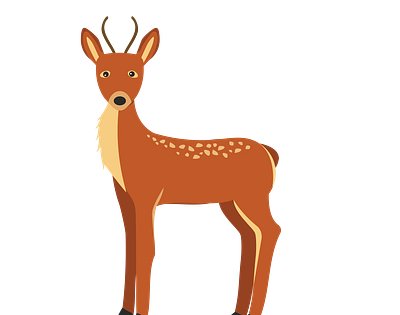 Western Roe Deer Vector animal vector design eps file graphic design illustration illustrator file illustrator png