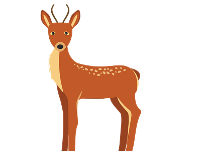 Western Roe Deer Vector animal vector design eps file graphic design illustration illustrator file illustrator png