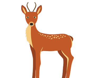 Western Roe Deer Vector