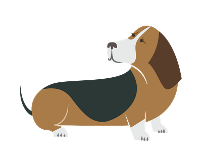 Basset Hound Looking His Tail Vector 3d animal vector design graphic design illustration illustrator file illustrator png logo vector art vector file format