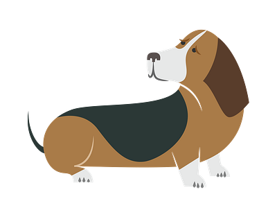 Basset Hound Looking His Tail Vector