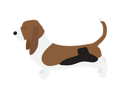 Basset Hound Side View Vector