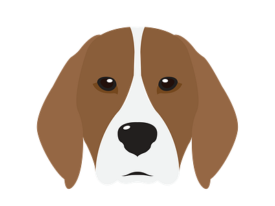 Chocolate and White Beagle Face Vector