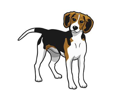 Bewildering Beagle Dog Vector