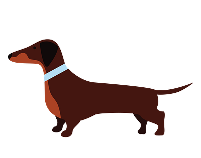 Chocolate and Tan Dachshund Dog Vector animal vector graphic design illustration illustrator file illustrator png svg format vector art