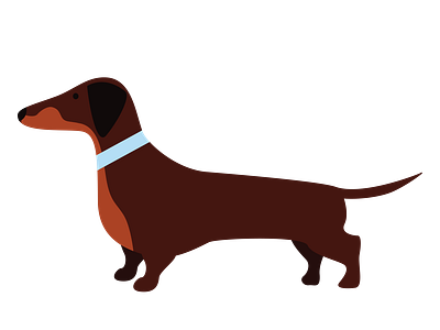 Chocolate and Tan Dachshund Dog Vector