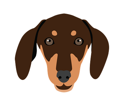 Beady Eyed Dachshund Dog Face Vector animal vector graphic design illustrator file illustrator png svg format vector art
