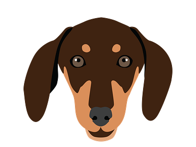 Beady Eyed Dachshund Dog Face Vector