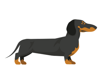 Black and Tan Dachshund Dog Vector animal vector design eps format graphic design illustration illustrator file illustrator png vector art