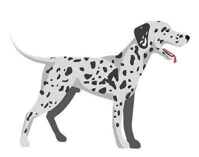 Slobbering Dalmatian Dog Vector animal vector design eps format graphic design illustration illustrator file illustrator png vector art
