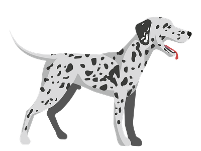 Slobbering Dalmatian Dog Vector