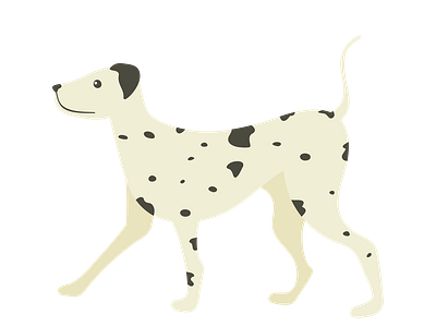 Light Colored Dalmatian Dog Vector