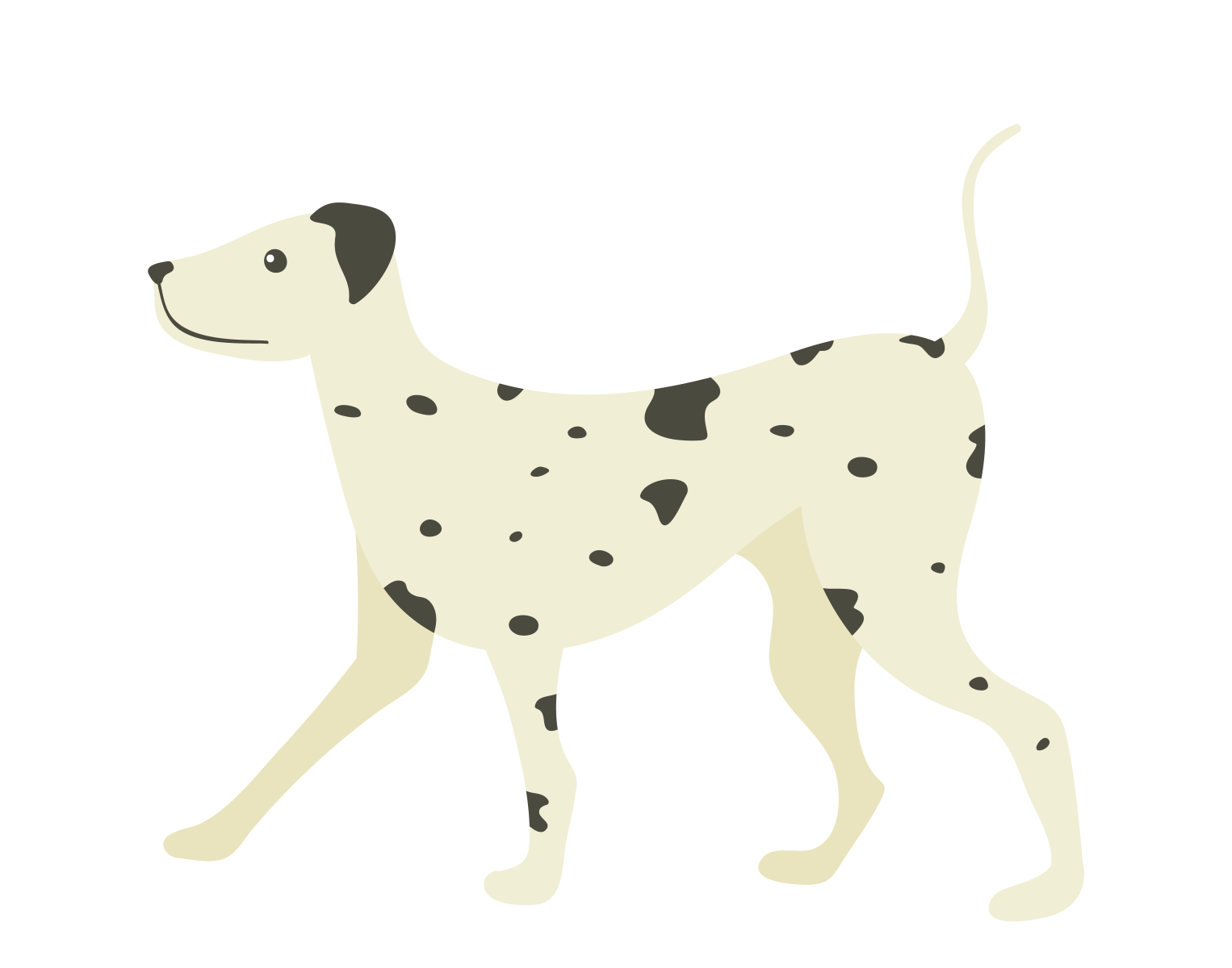 Light Colored Dalmatian Dog Vector by DigitEMB on Dribbble