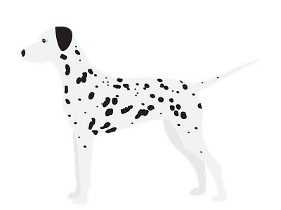 Dalmation Dog Side View Vector by DigitEMB on Dribbble