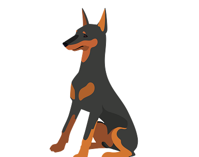 Obliged and Loyal Doberman Dog Vector animal vector design graphic design illustration illustrator file illustrator png svg format vector art
