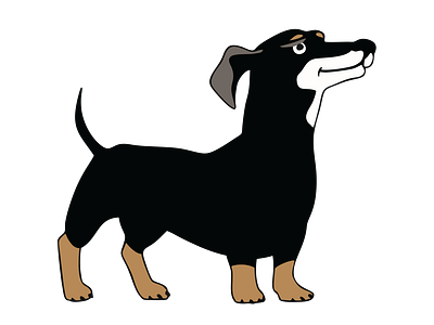 Determined Dachshund Dog Vector