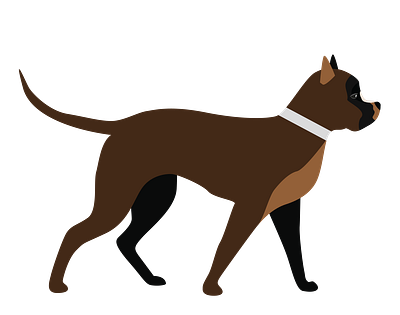 Cute and Steadfast Rottweiler Dog Vector animal vector design graphic design illustration illustrator file illustrator png svg format vector art