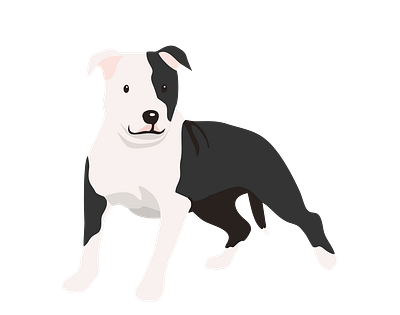 Gladiator Bull Terrier Dog Vector animal vector graphic design illustration illustrator file illustrator png vector art vector format