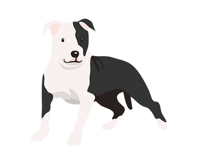 Gladiator Bull Terrier Dog Vector animal vector graphic design illustration illustrator file illustrator png vector art vector format