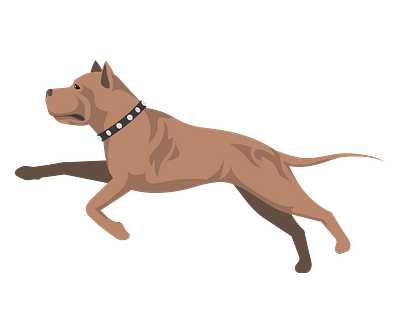 American Staffordshire Terrier Dog Vector animal vector design graphic design illustration illustrator file illustrator png svg format vector art