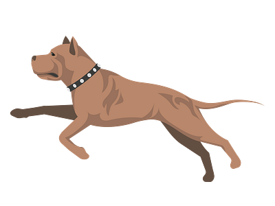American Staffordshire Terrier Dog Vector