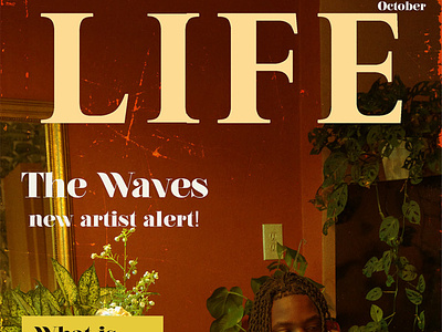 LIFE ZINE Cover