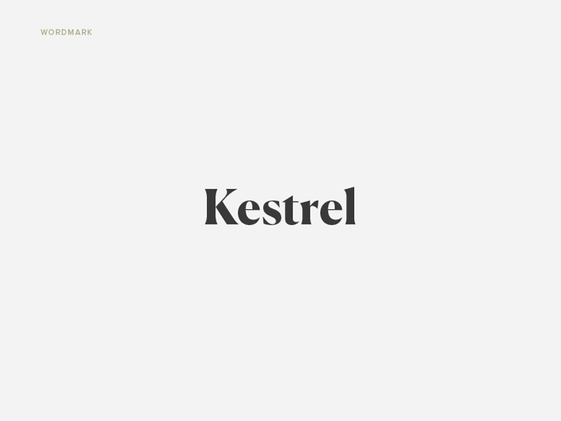 Kestrel bird brand group identity kestrel key logo realty