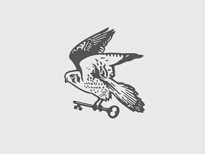 Kestrel Bird Mark bird illustration kestrel logo