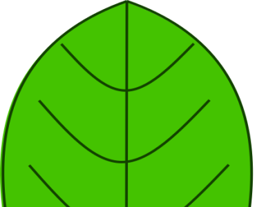 Leaf Design app branding design icon illustration logo typography vector