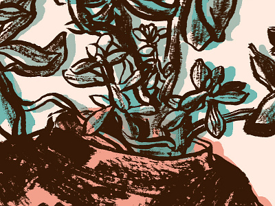 Tea Pot Succulent cacti drawing illustration photoshop pink plant succulent tea teapot visual journalism