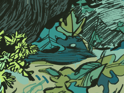 Shenandoah Detail Study illustration ink leaves lichen nature observational drawing park trees visual journalism woods