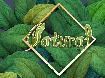Natural logo design illustration logo typography vector