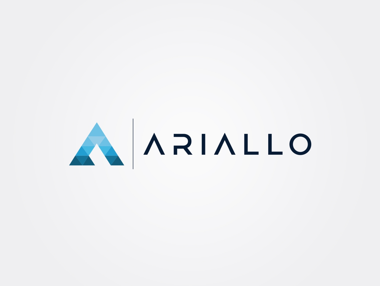 Ariallo Logo branding design graphic design logo logo design logo designer vector
