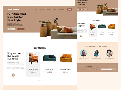 Furniture store landing page