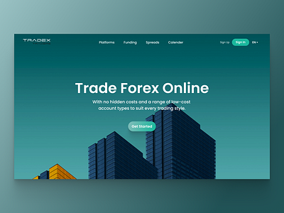 Tradex Online Trading Platform clean design graphic design ui web