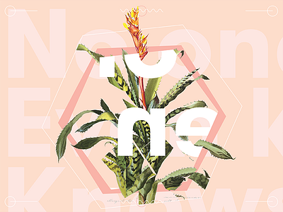Cutting Up Plants botanical bromeliad digital geometric hexagon international style sans serif swiss