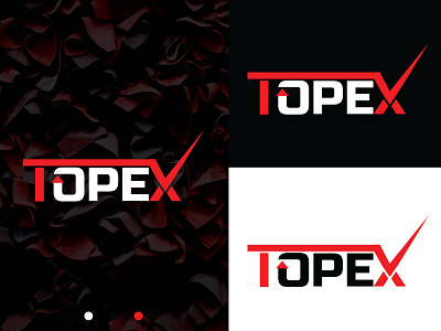 TOPEX LOGO