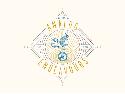 Society of Analog Endeavours analog endeavours raccoon unicycle