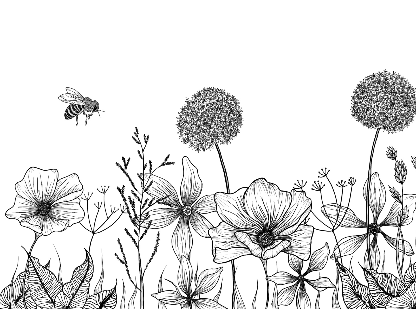 How To Draw Flower Garden  Draw A Flower Garden HD Png Download   Transparent Png Image  PNGitem