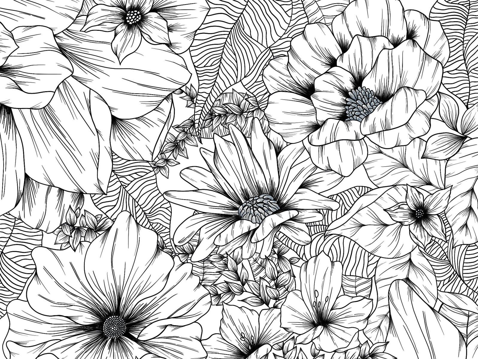 Botanical Sketch by georgia on Dribbble