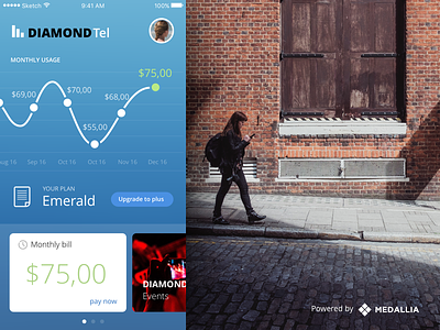 DIAMONDTel Demo App app charts ios medallia telco telecom