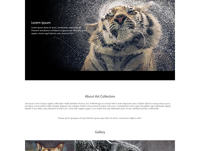 Another Art Collection Web Design branding design website