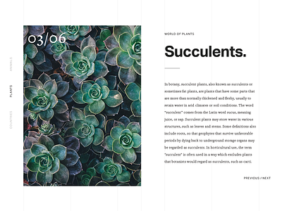 Succulents card