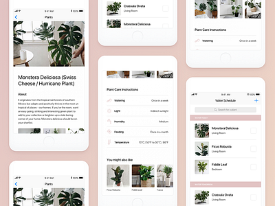 Plant Watering App app design application ios minimal typography