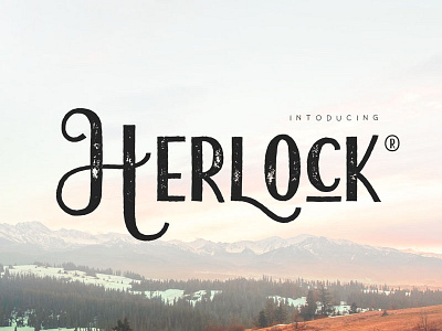 Herlock clean display font graphic design lettering modern quote simple typography